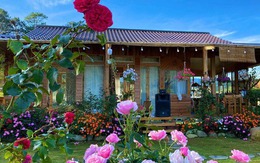 Ngôi nhà gỗ 40m² đẹp như cổ tích giữa hoa cỏ và mây trời ở Lâm Đồng