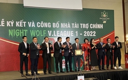 Chân dung Sâm Ngọc Linh Kon Tum - 'ông bầu' mới của V.League