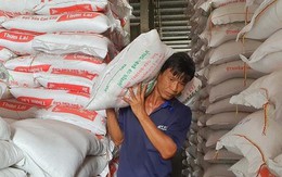 Lý do doanh nghiệp Việt khó đăng ký xuất khẩu gạo sang Trung Quốc