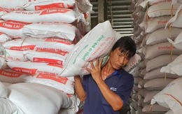 Lý do doanh nghiệp Việt khó đăng ký xuất khẩu gạo sang Trung Quốc