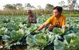 Bắc Ninh: Tỷ lệ hộ nghèo giảm còn 0,94%