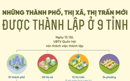 Những thành phố, thị xã, thị trấn mới được thành lập ở 9 tỉnh