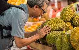 Lý do các nước Đông Nam Á đại chiến sầu riêng tại Trung Quốc: Từ người già tới trẻ em đều mê, mua tới hơn 800.000 tấn/năm, giá trị 4 tỷ USD