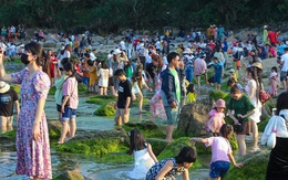 Ảnh: Chen chân chụp ảnh bãi rêu tuyệt đẹp ven biển Đà Nẵng