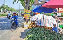 Giải cứu cam sành khắp các ngả đường TP HCM