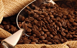 Vì sao Trung Quốc giảm nhập khẩu cà phê từ Việt Nam?