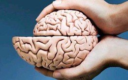 Khi não bắt đầu "teo lại", cơ thể có 4 dấu hiệu không thể giấu giếm
