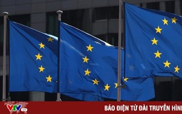 EU xem xét phí đường truyền Internet