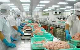 Nhiều mặt hàng thủy sản xuất khẩu của Việt Nam bất ngờ 'lao dốc'