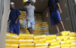 Xuất khẩu gạo sang Trung Quốc giảm: Doanh nghiệp nói gì?