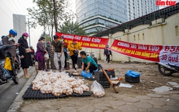 Cần làm rõ nguồn gốc những quả 'trứng gà, vịt giải cứu' ở Hà Nội