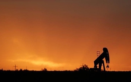 Giá dầu thô được dự báo sẽ tăng cao