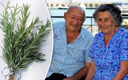81/700 người ở ngôi làng Ý thọ trên 100 tuổi: Bí quyết nằm ở một loại nguyên liệu được sử dụng mỗi ngày