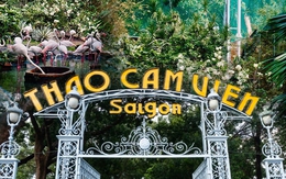 Thảo Cầm Viên Sài Gòn vươn mình sau lời kêu cứu hơn 1 năm trước, mỗi ngày thu 400 triệu đồng và nhìn lại hành trình đầy khó khăn