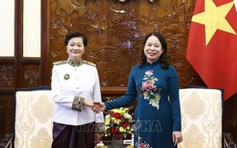 Quyền Chủ tịch nước Võ Thị Ánh Xuân tiếp các Đại sứ đến trình Quốc thư
