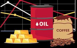 Thị trường ngày 23/2: Giá dầu, vàng, đồng, cao su và đường đồng loạt giảm mạnh, cà phê cao nhất nhiều tháng