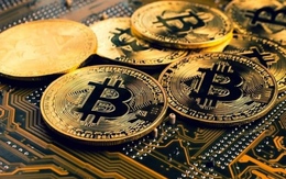 Giá Bitcoin hôm nay 23/2: Bitcoin giảm nhẹ