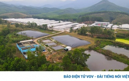 Cận cảnh Dự án chăn nuôi ở Sơn Động để vỡ đường ống nước thải gây ô nhiễm môi trường