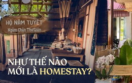 Câu chuyện homestay đầu tiên tại ấp Thiềng Liềng, Cần Giờ: Liệu nhiều người có đang hiểu sai về hình thức lưu trú đặc biệt này?