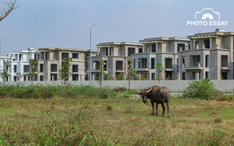 [Photo Essay] Sắp lên thành phố phía Bắc Hà Nội, khu vực "Làng biệt thự" Mê Linh hiện nay ra sao?