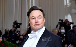 Tỷ phú Elon Musk tham gia cuộc đua phát triển đối thủ ChatGPT
