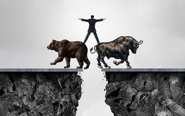 Agriseco: Thị trường tháng 2 bước vào giai đoạn tích lũy đi ngang và phân hóa giữa các nhóm cổ phiếu