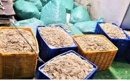 Phát hiện hơn 9 tấn chân gà, lòng lợn không rõ nguồn gốc ở Bắc Giang