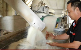 Giá gạo Việt xuất khẩu tăng cao nhất 2 năm