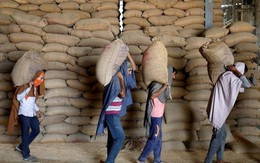 Quốc gia xuất khẩu top 2 thế giới tiếp tục kéo dài lệnh cấm xuất khẩu lúa mì