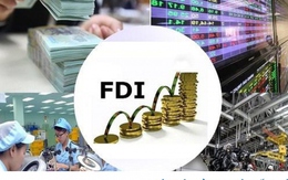 DN FDI hưởng nhiều ưu đãi nhưng liên tục báo lỗ, nộp ngân sách thua xa DN nội