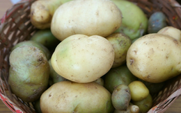 5 điều cấm kỵ khi bảo quản khoai tây khiến nhanh hỏng, ăn vào thậm chí còn gây ung thư