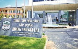 Hoàng Anh Gia Lai (HAGL) dùng 30 triệu cổ phần của Chăn nuôi Gia Lai để bảo đảm nghĩa vụ tín dụng cho công ty con