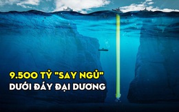 Kho báu 9.500 tỷ nằm "cô đơn" giữa đáy biển, biết vị trí ở đâu nhưng ai cũng bó tay lắc đầu