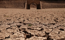 Cảnh báo mới về khủng hoảng nước toàn cầu