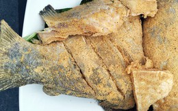 Vụ 10 người ngộ độc do ăn cá chép ở Quảng Nam: Vi khuẩn Clostridium Botulinum nguy hiểm thế nào?