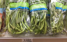 Loại rau ở Việt Nam bán đầy ngoài chợ sang nước ngoài thành thứ siêu đắt đỏ, 10 cọng rau giá cả trăm nghìn