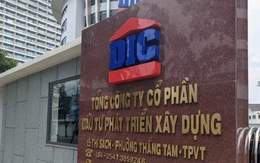 Nhìn lại đường tư nhân hóa DIC Corp