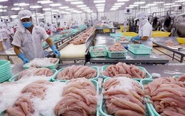 VASEP: Cá tôm Việt sang Mỹ và EU giảm mạnh, xuất khẩu thủy sản 2 tháng đầu năm chỉ bằng 3/4 cùng kỳ