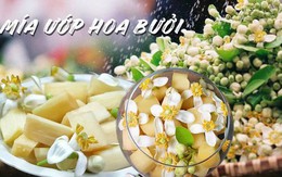 Món ăn thanh cảnh của người Hà Nội: "Đặc sản" tháng 3 mang hương vị thơm ngát không phải ai cũng biết đến