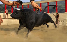 Thị trường đã chiết khấu đủ để có một nhịp phục hồi trong ngắn hạn?