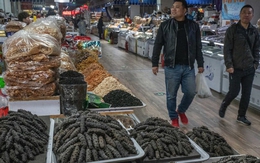 Sinh vật bị khai thác cạn kiệt ở Trung Quốc vì "cơn khát" của dân sành ăn: Việt Nam đang dẫn đầu thế giới về công nghệ sản xuất giống