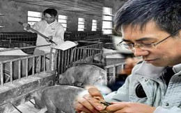 Phó giám đốc Trung Quốc tự biến mình thành "đặc vụ ngầm": 5 lần "ẩn thân" vào các doanh nghiệp lớn, đi chăn lợn, làm xưởng may chỉ để giúp dân tìm việc tốt