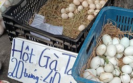 Chuyện lạ: Trứng gà ta rẻ hơn trứng gà công nghiệp