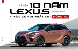 Kỷ niệm 10 năm Lexus tại Việt Nam: 4 mẫu xe mới nhất của dòng RX