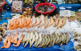 Cô gái Việt kể chuyện đi chợ hải sản tươi sống nổi tiếng Hàn Quốc: Có thể ăn ngay tại chợ luôn, 4 triệu đồng một bữa không gọi là đắt