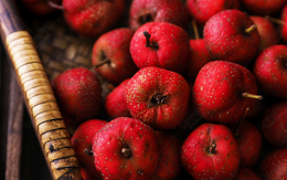 4 loại trái cây không chỉ “phá” nội tạng mà còn chứa “chất kích hoạt” tế bào ung thư