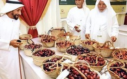 Một loại trái cây được các đại gia Dubai yêu thích, tượng trưng cho sự giàu sang, nhưng lại bị "bỏ quên" trên cây không ai thèm hái ở Trung Quốc