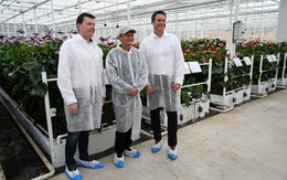 Cuộc sống "hậu Alibaba" khác hẳn trước đây của Jack Ma: Nghiên cứu nuôi cá và trồng lúa