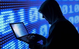 Hà Lan bắt giữ 3 đối tượng tình nghi đánh cắp số lượng lớn dữ liệu cá nhân