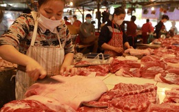 Giá thịt lợn hơi xuống dưới 50.000 đồng/kg